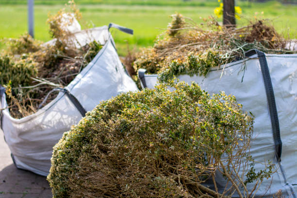 Best Basement Cleanout Services  in Hazelwood, MO